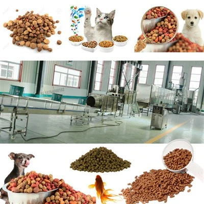 Máquina de extrusão de alimentos para animais de estimação, cães e gatos, à venda